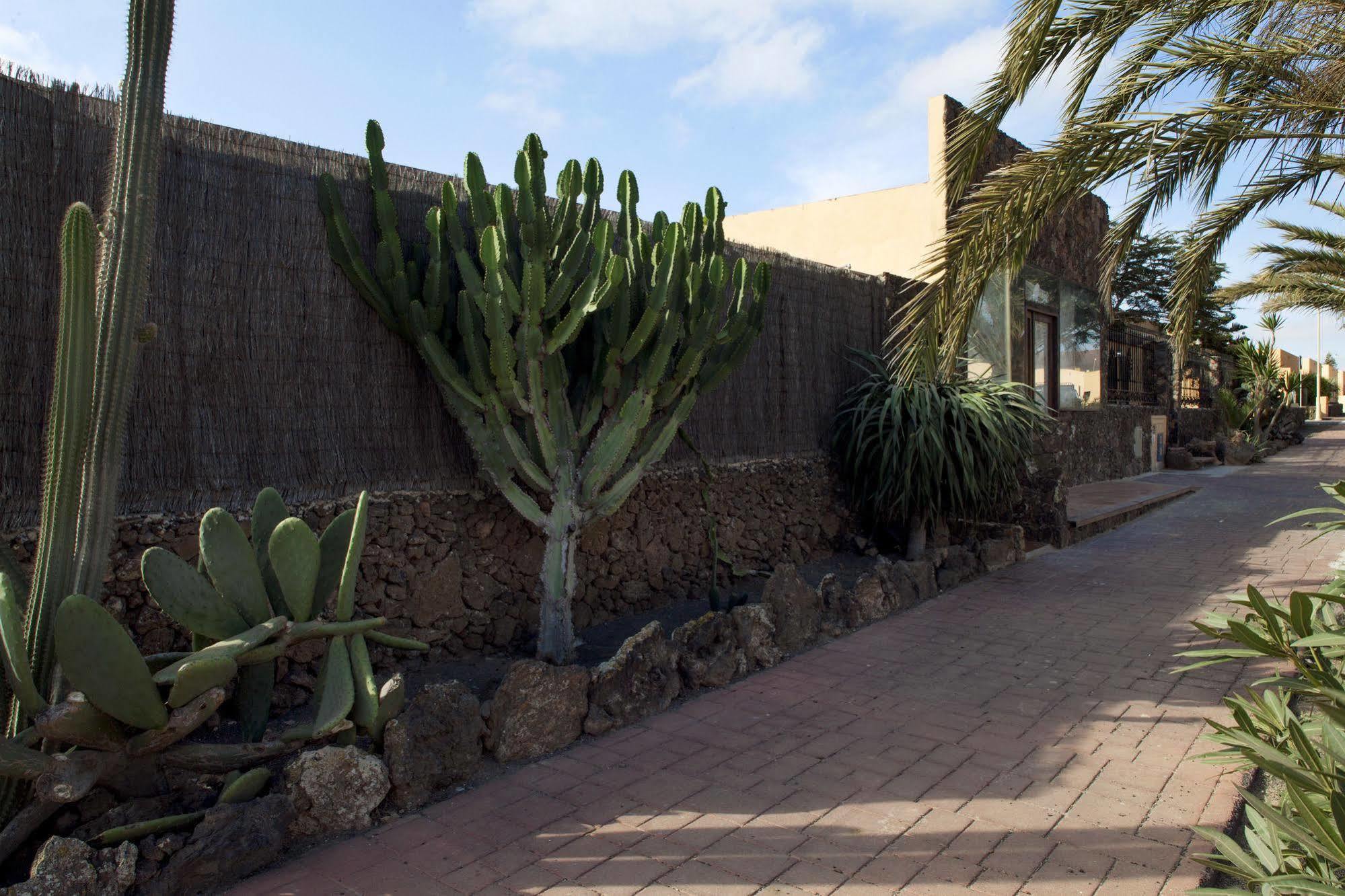 Apartamentos Laurisilva Corralejo Esterno foto